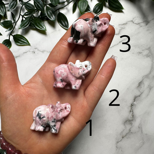 Elefante in Rodonite