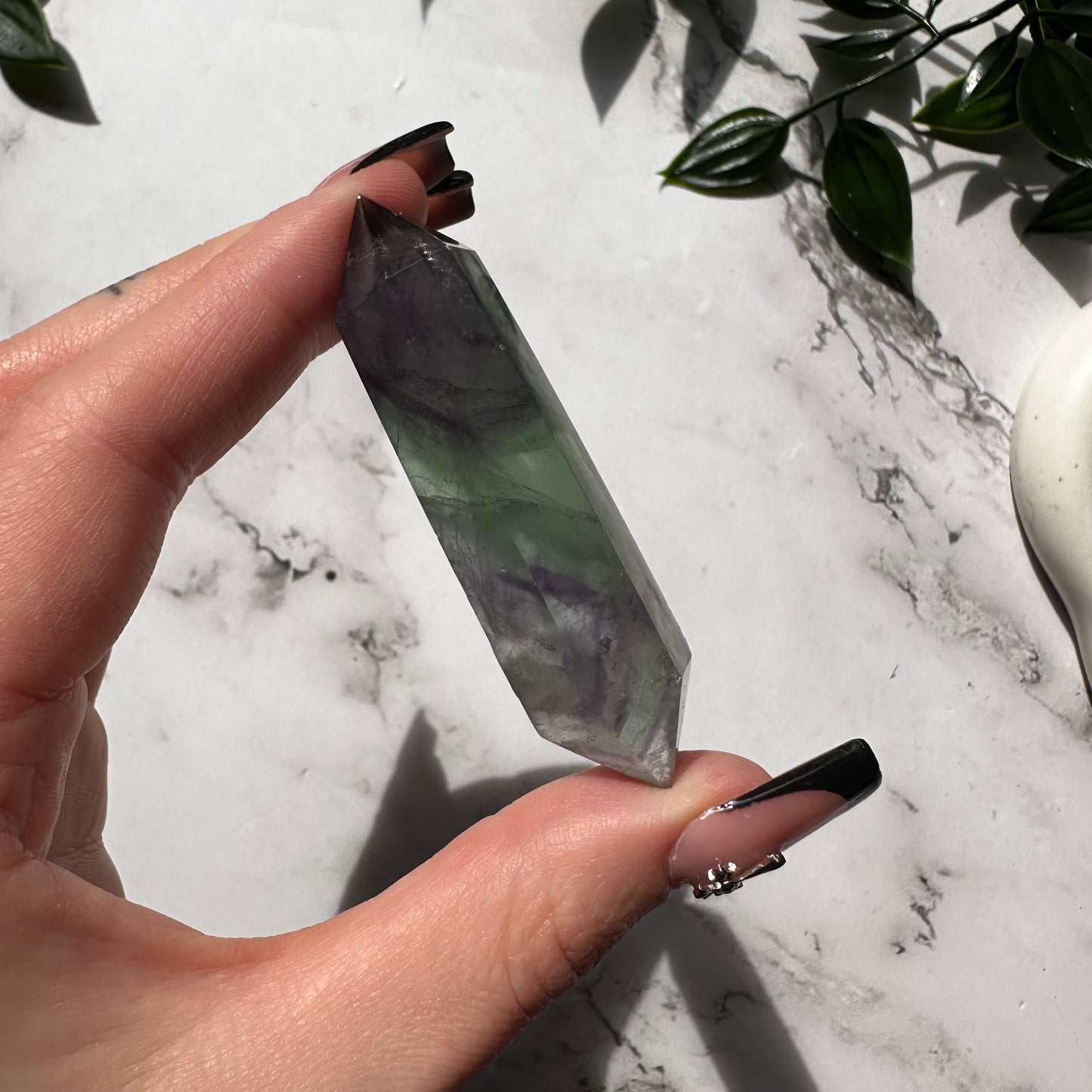 Biterminata in Fluorite