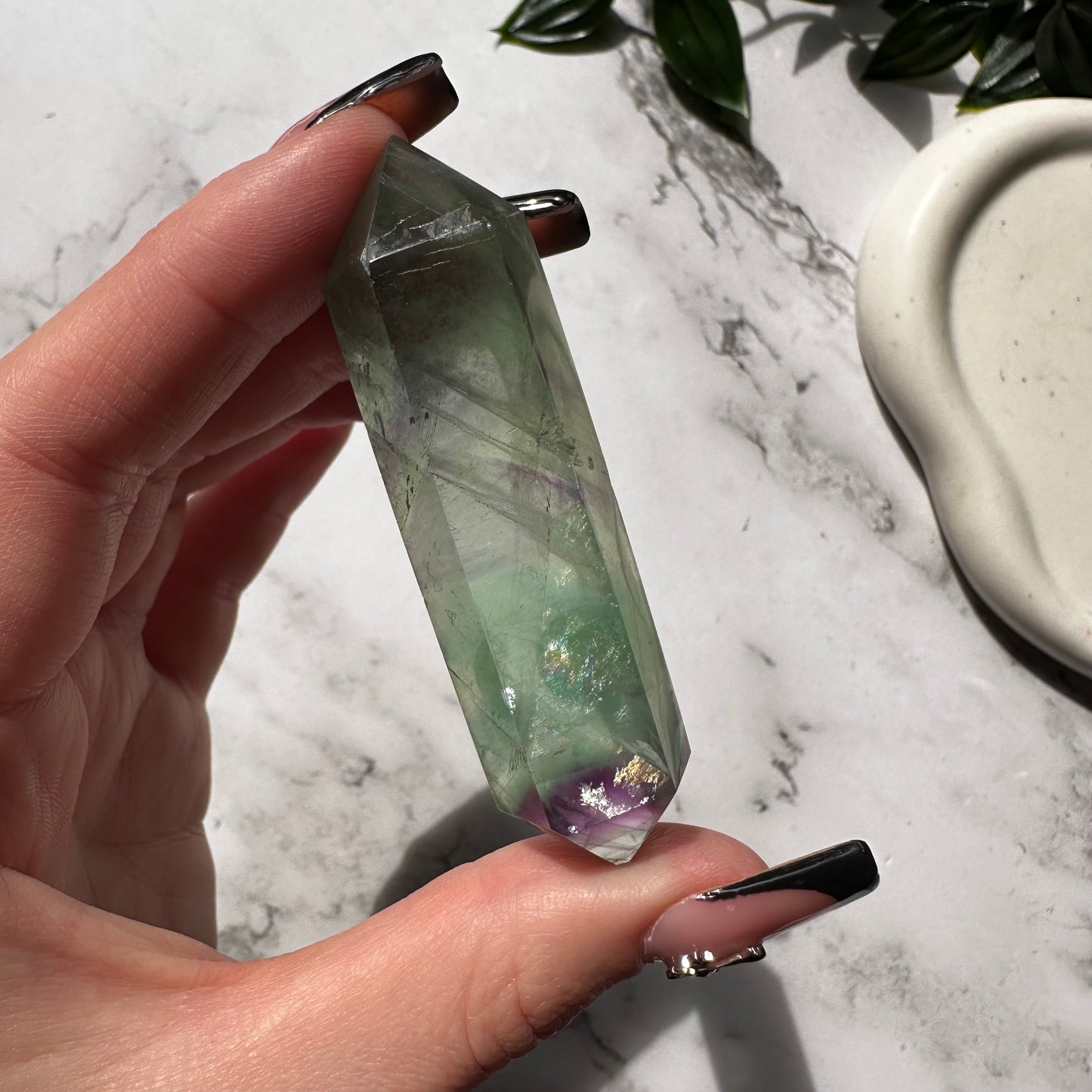 Biterminata in Fluorite