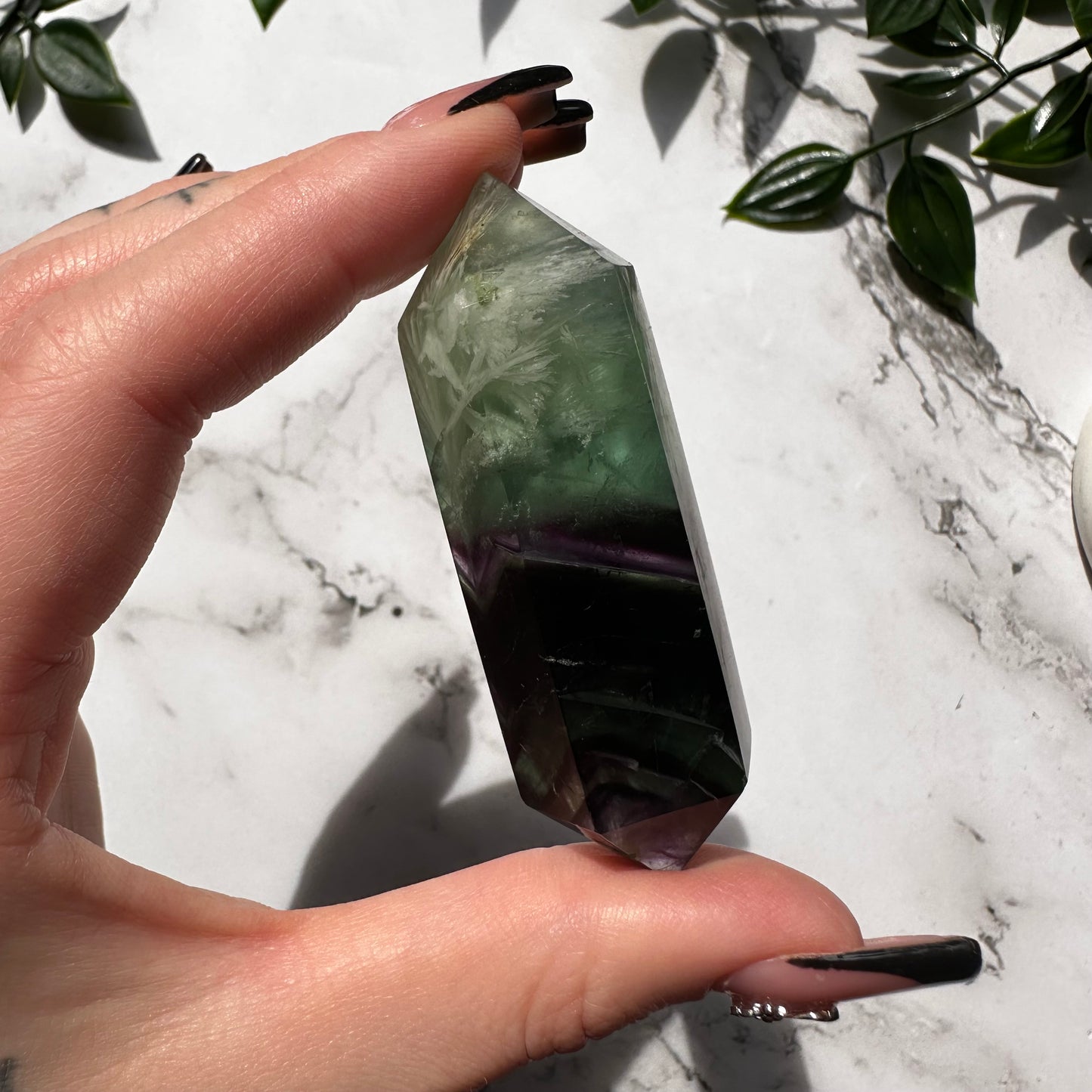 Biterminata in Fluorite