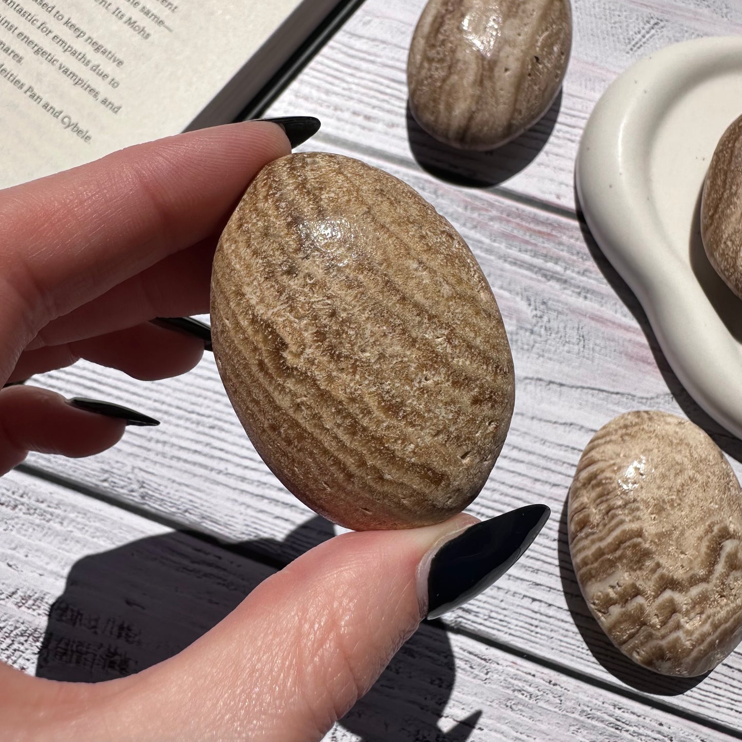 Palmstone in Calcite Cioccolato