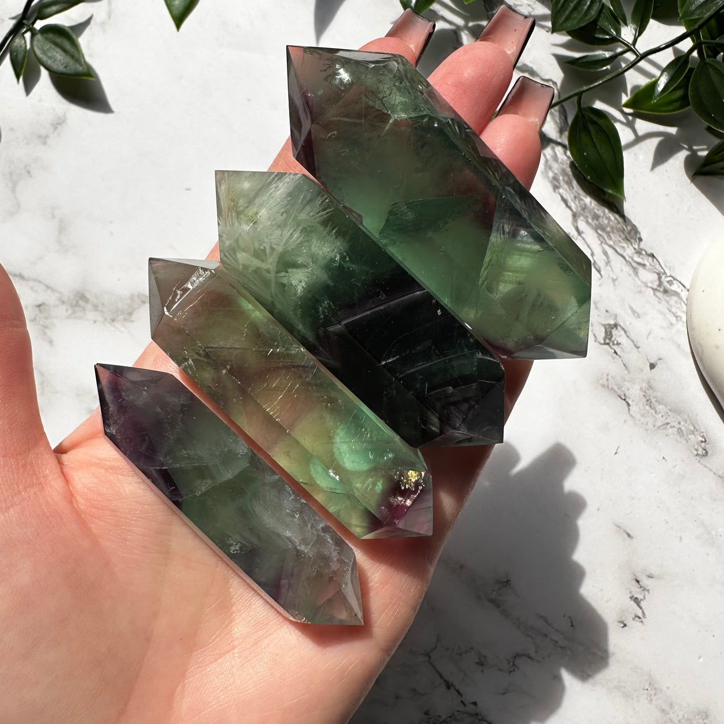 Biterminata in Fluorite