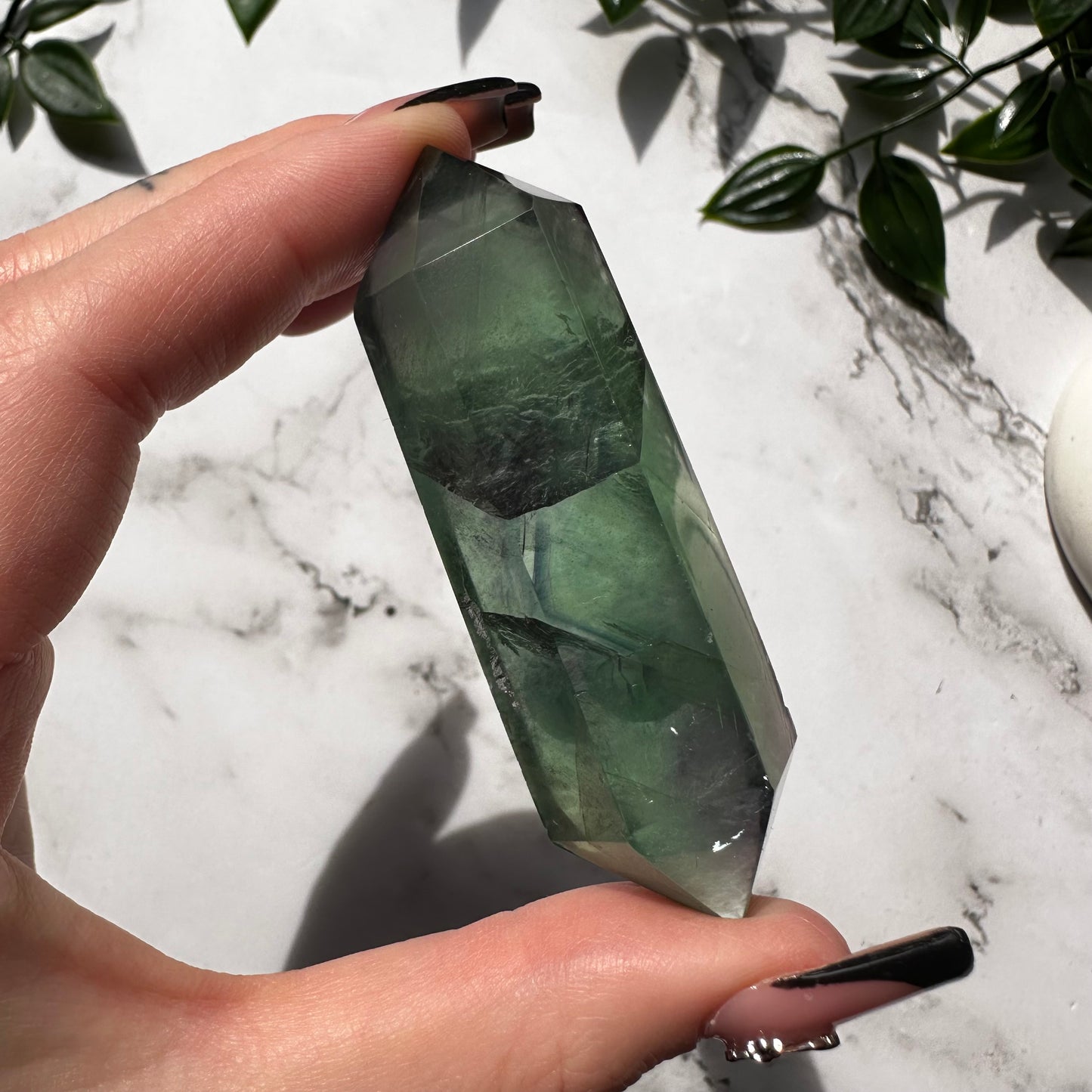 Biterminata in Fluorite